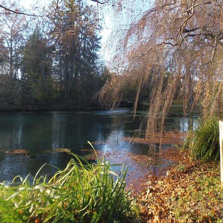 Les Cimaises Du Couvent Beaune  Exteriör bild